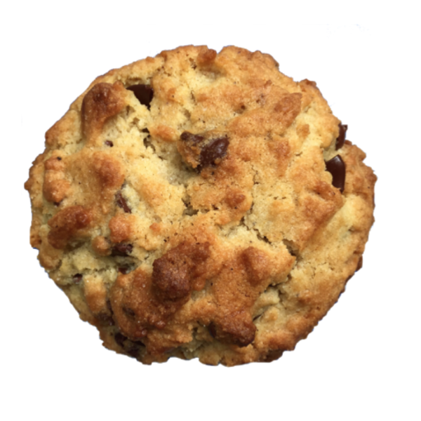 chocolate chip cookie png